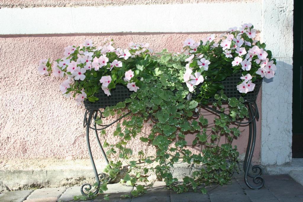 Garni Moretti Bed & Breakfast Riva del Garda